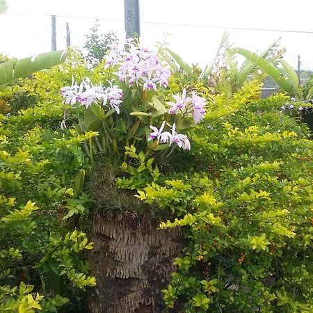 Sol E Cia Casa De Temporada Villa Caraguatatuba Kültér fotó
