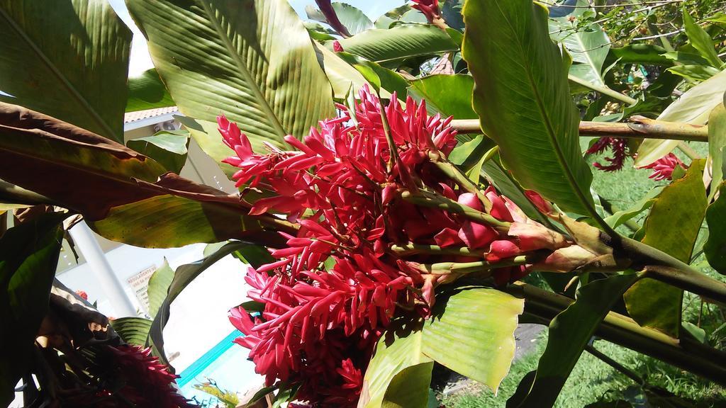 Sol E Cia Casa De Temporada Villa Caraguatatuba Kültér fotó
