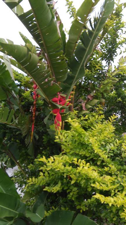 Sol E Cia Casa De Temporada Villa Caraguatatuba Kültér fotó